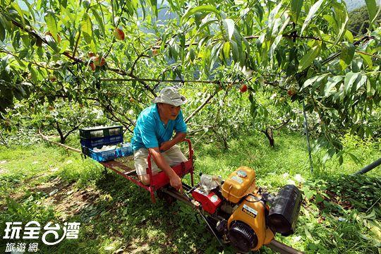 Da Kuan Peach Farm Resort Hualing Екстер'єр фото